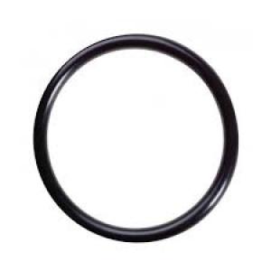 CCG 2718S Truma Ultrastore 1300W Element Sealing Ring
